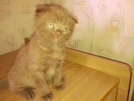 --:       ,      ,      