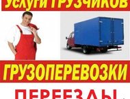 , ,     ,  . 89286176692, 89286176702
   -,  ( ), -- -  ()