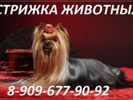 :                  : 8-968-940-94-94 
  
 8-909-677-90-