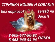                  : 8-968-940-94-94 
  
 8-909-677-90-,  -   