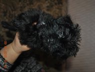 :        3 .  .   ,     3 .  