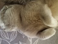 :      ,  1  4  ,   ,     .  . . ,  