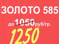           .  .  9 (- ).  !    . . 88005000506,  -  