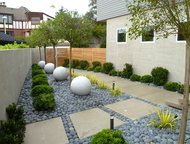 -:  ,      Green Tree  ,  ,      