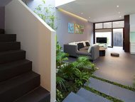 -:  ,      Green Tree  ,  ,      