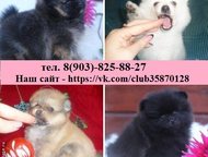   , ,     ,     9000!      . ,  -  ,  