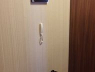 :      ,    1 ,        ,  ,   - 