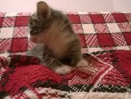        1- , :  , , -.    .,  -  !   !