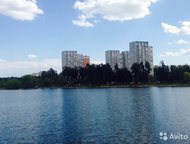  1- , 48 2   . 
  1-         ,  -  